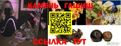 гашик Новозыбков