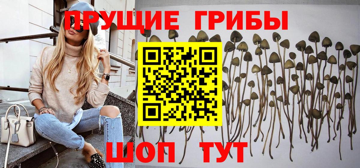 Псилоцибиновые грибы ЛСД Сухой Лог
